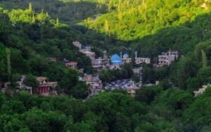 بە تۆمەتی ئاگربەردان لە باخێکی بیارە حەوت هاوڵاتی دەستگیرکران
